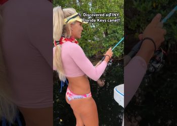 Discovered a TINY #floridakeys Canal full of fish!!🤯 #canalfishing