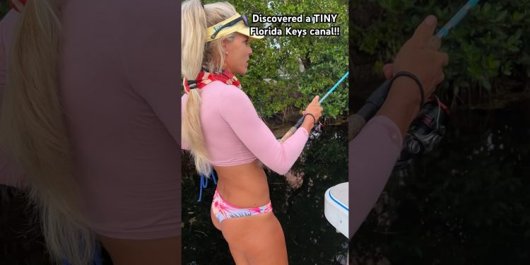 Discovered a TINY #floridakeys Canal full of fish!!🤯 #canalfishing