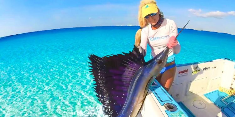 Do We Eat it? Florida Offshore Fishing for Massive Atlantic Sailfish
