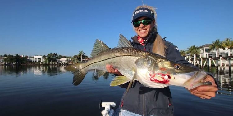 Florida Inshore Snook Fishing (catch, clean & cook)