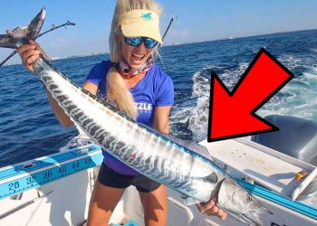 Girl Captains Dude On To the MOST PRIZED Fish in Florida!