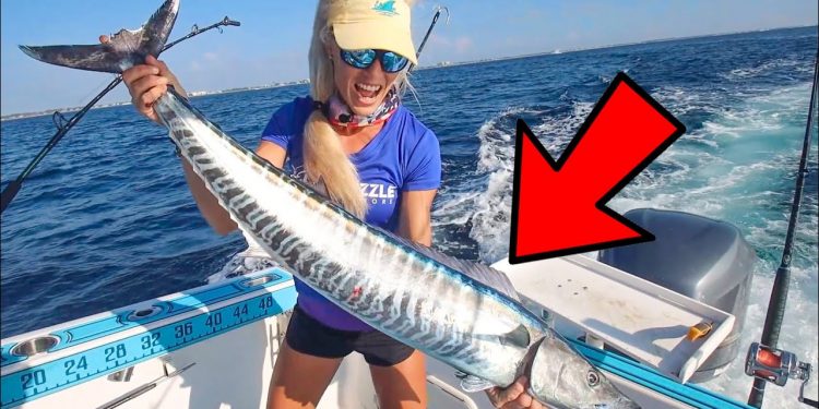 Girl Captains Dude On To the MOST PRIZED Fish in Florida!
