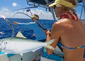 I Put a Live Pilchard down 100′ and THIS Happened!!! (Florida Catch & Clean)