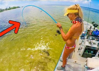 Pitched a Live Shrimp on a Florida Keys Sandbar & Things Got Crazy!
