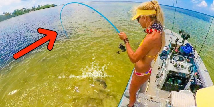 Pitched a Live Shrimp on a Florida Keys Sandbar & Things Got Crazy!