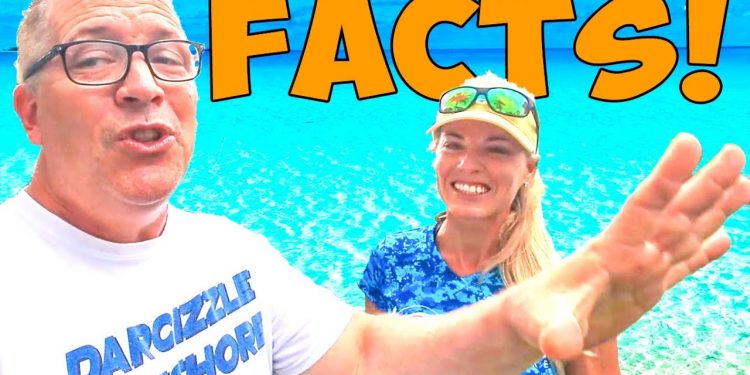 The Honest Truth Behind Fishing in the Florida Keys! What Other Shows Dont Tell You