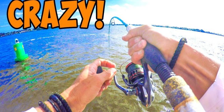 Tossed a Live Shrimp in a Public Waterway and Hooked This!