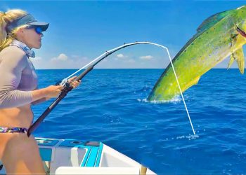 Two Hours of Florida Mahi Mahi Catching & Cooking!