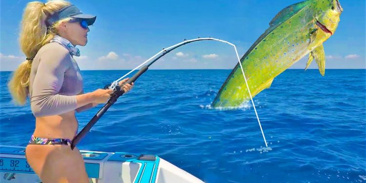 Two Hours of Florida Mahi Mahi Catching & Cooking!