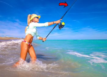 Beach Fishing for Bluefish! (Catch & Cook)