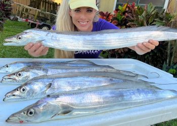 Florida Inshore Fishing for Ribbonfish (how to catch, clean & cook)