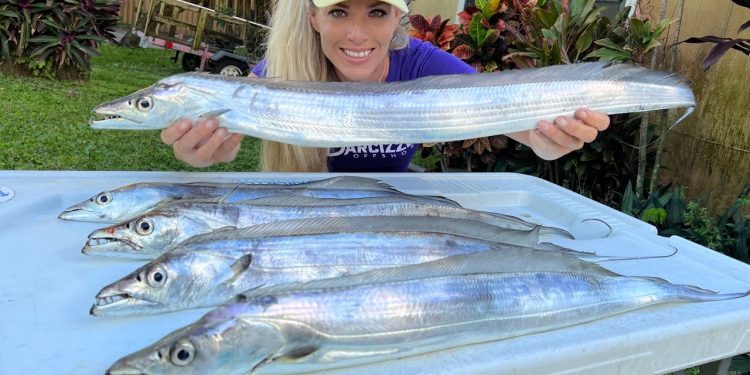 Florida Inshore Fishing for Ribbonfish (how to catch, clean & cook)