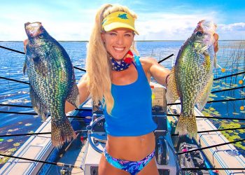 GIANT CRAPPIE Fishing with 15+ Fishing Rods! HOW TO Catch Crappie Lake Okeechobee, FL