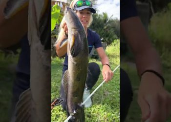 Girl Bowfishing for Invasive Bullseye Snakehead!