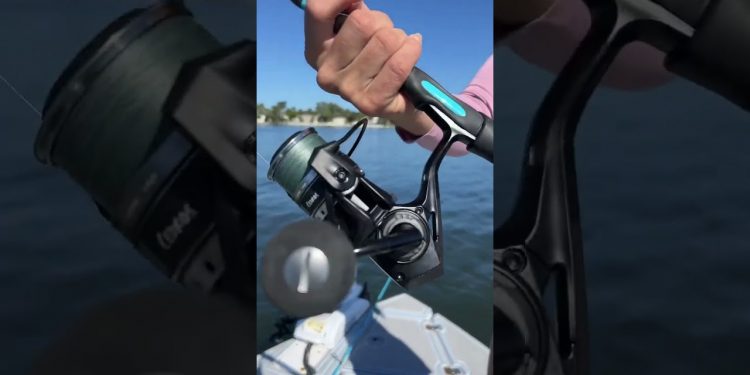 Girl Catches Moonfish?
