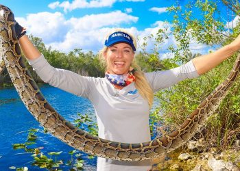 Girl Hunts DEADLY Burmese PythonS in the Florida Everglades!