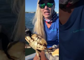 Girl Shows Anatomy of a Crab!