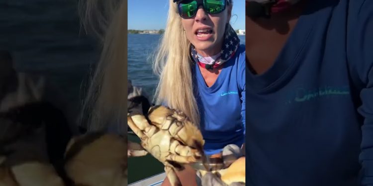 Girl Shows Anatomy of a Crab!