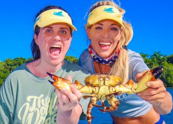 I Was in a Coma From a Massive Head On Collision & Now Iām Crabbing! SISTER UPDATE