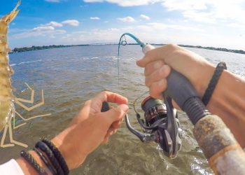 Tossing Shrimp in Totally NEW SPOTS! Loaded the Boat (Catch & Cook)