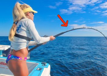 Dropped Cut Bait 300 Feet Down & Caught a RECORD Fish! (Catch & Cook)