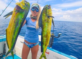Dropped Fake Baits 10 MILES Offshore and Filled the Cooler with Fish!