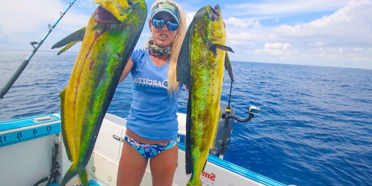 Dropped Fake Baits 10 MILES Offshore and Filled the Cooler with Fish!