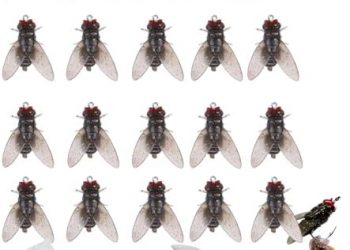 Fly fishing, Fly Fishing Bait 20PCS, 2024 Upgraded Fishing Flies, Shrimp Flavor Fishing Bait, Indestructible Bait without dropping The line Fly Fishing Lures-Fishing Flies