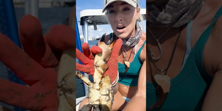 MASSIVE Crab Claw, the Gift that Keeps on Giving!!