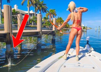 Spotted Fish Under a Private Dock and THIS Happened!