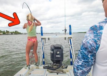 Tossed LIVE Shrimp in a Tiny Waterway & THIS Happened! (Jackery 1000v2 Solar Generator)