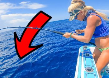 200′ DEEP! Dropped a Live Bait Under the Boat & Caught a Sea Monster!
