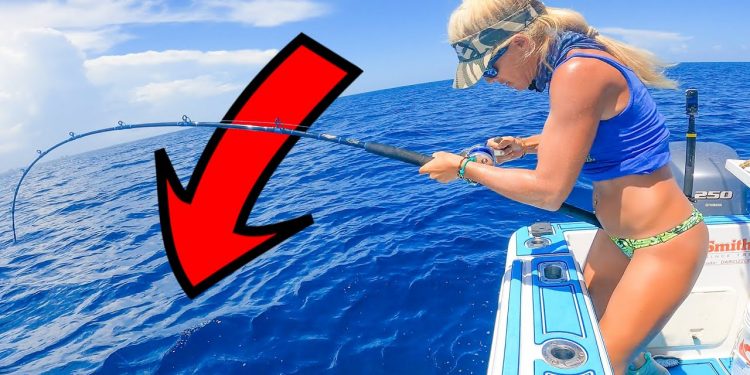 200′ DEEP! Dropped a Live Bait Under the Boat & Caught a Sea Monster!