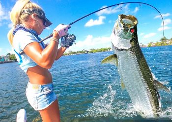 MASSIVE FISH vs. Tiny Rod! Ultralight Florida Tarpon Fishing