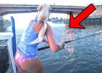 Tossed a Giant Lure Under a Public Bridge & Caught a Prized Fish!!