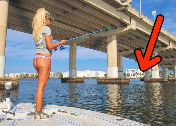 Fishing under HUGE BRIDGE in Florida Lagoon! (Catch & Cook)