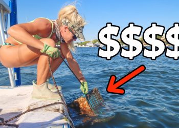 Over $2,000 Caught! USA’s Most Expensive Seafood Explained