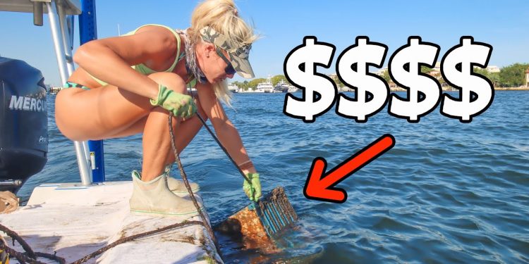 Over $2,000 Caught! USA’s Most Expensive Seafood Explained