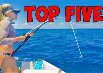 Top 5 VIRAL Videos of 2024!