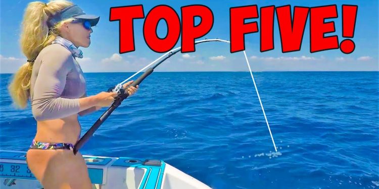 Top 5 VIRAL Videos of 2024!