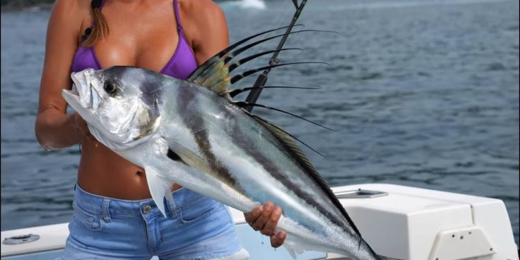 Catching Roosterfish fishing in paradise