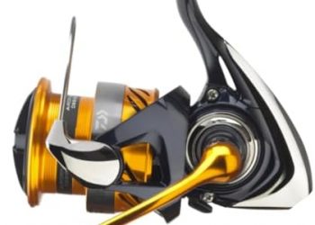 Daiwa Revros LT Fishing Reel for Lakes & Rivers Size 1000-6000