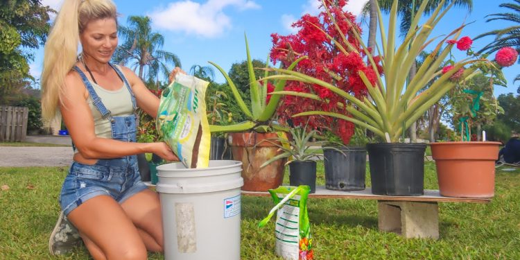 How to Grow a CONTAINER Garden Anywhere! 5 Simple Steps- CHEAP & EASY