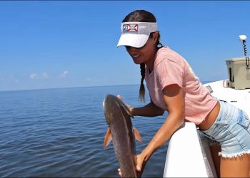 REDFISH in the Nature Coast