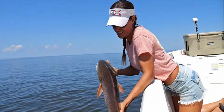 REDFISH in the Nature Coast