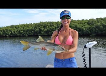 SNOOK & REDFISH in the Nature Coast of Florida