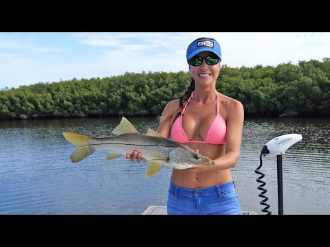 SNOOK & REDFISH in the Nature Coast of Florida