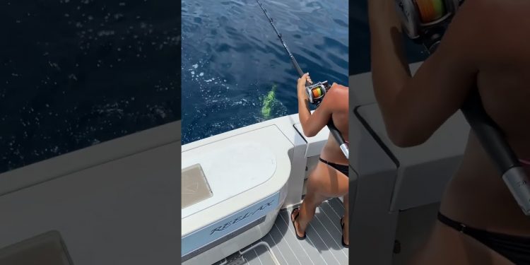 🖤🎣🖤 #fishing