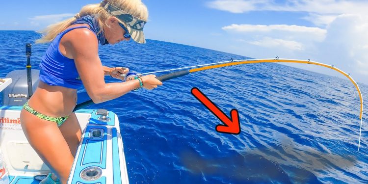 12 Hours of Catching MONSTER Fish off Florida’s Coast