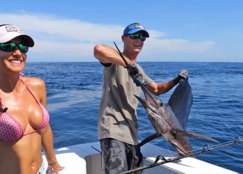 Reeling in a SAILFISH